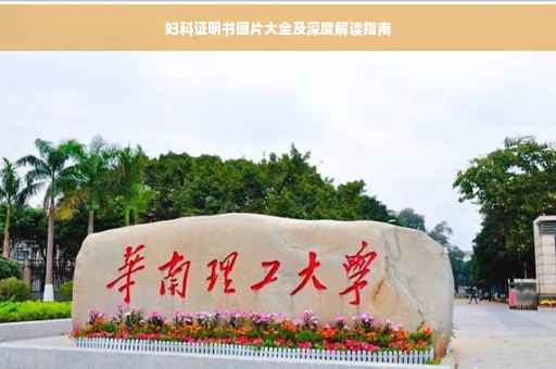 妇科证明书图片大全及深度解读指南