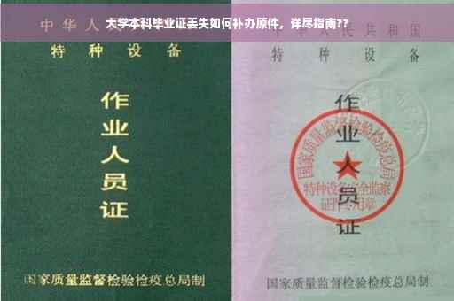 大学本科毕业证丢失如何补办原件，详尽指南??