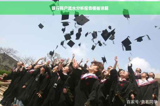 银行账户流水分析报告模板详解