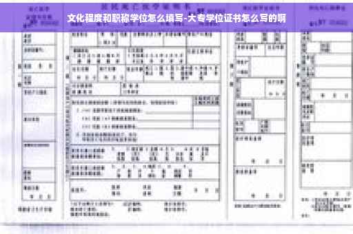 文化程度和职称学位怎么填写-大专学位证书怎么写的啊