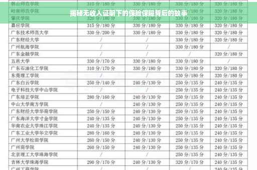揭秘无收入证明下的保险保障背后的故事