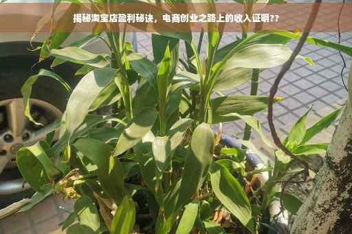 揭秘淘宝店盈利秘诀，电商创业之路上的收入证明??