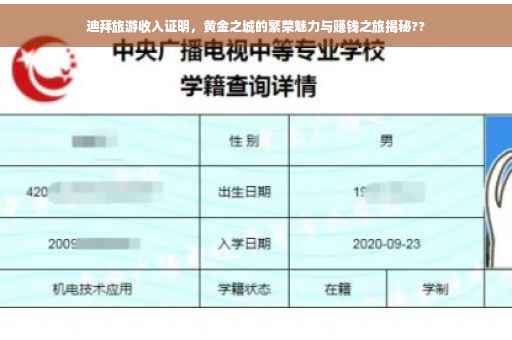 迪拜旅游收入证明，黄金之城的繁荣魅力与赚钱之旅揭秘??