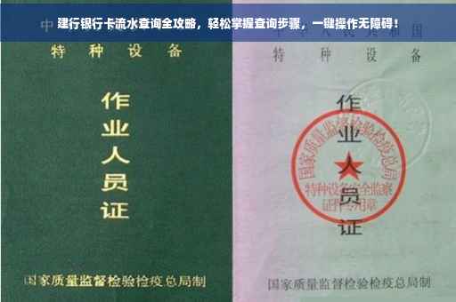 建行银行卡流水查询全攻略，轻松掌握查询步骤，一键操作无障碍！