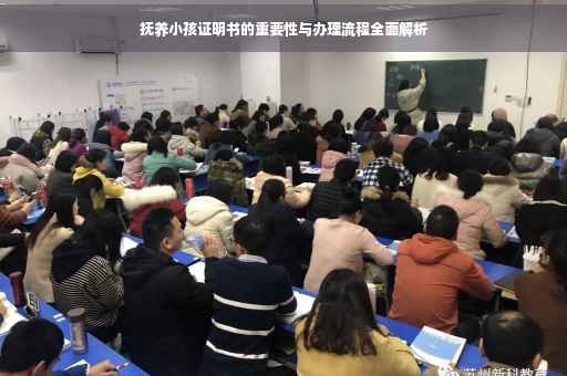 抚养小孩证明书的重要性与办理流程全面解析