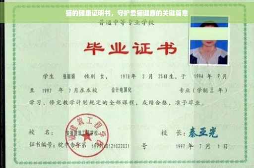 猫的健康证明书，守护爱猫健康的关键篇章