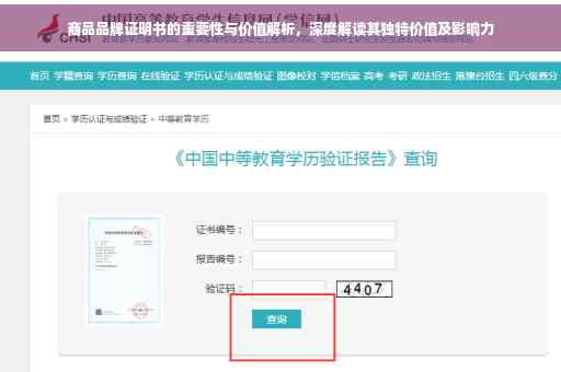 商品品牌证明书的重要性与价值解析，深度解读其独特价值及影响力