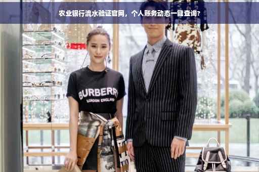 农业银行流水验证官网，个人账务动态一键查询?