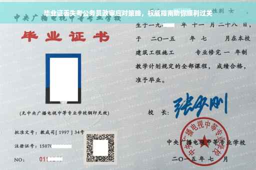 毕业证丢失考公务员政审应对策略，权威指南助你顺利过关