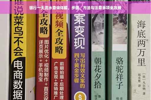 银行一天流水查询详解，步骤、方法与注意事项全攻略