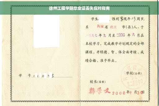 徐州工程学院毕业证丢失应对指南