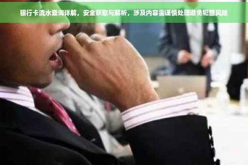 银行卡流水查询详解，安全获取与解析，涉及内容需谨慎处理避免犯罪风险
