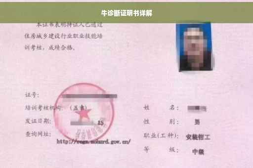 牛诊断证明书详解