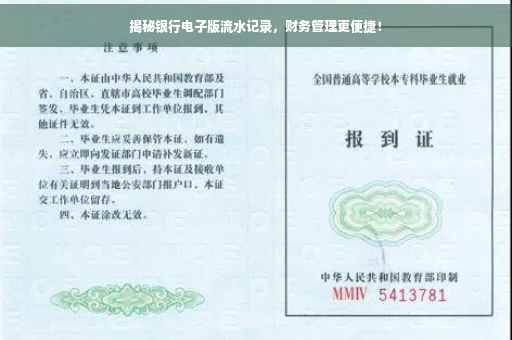 揭秘银行电子版流水记录，财务管理更便捷！