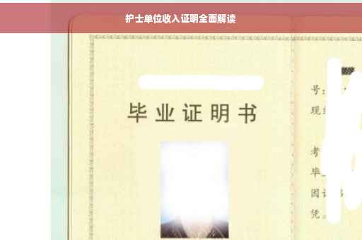 护士单位收入证明全面解读