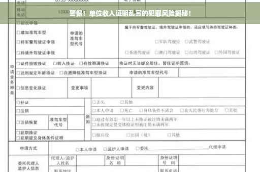 警惕！单位收入证明乱写的犯罪风险揭秘！