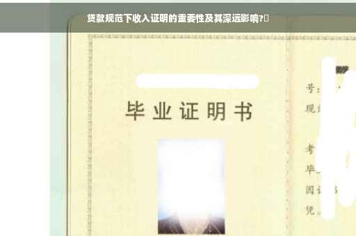 贷款规范下收入证明的重要性及其深远影响?✨