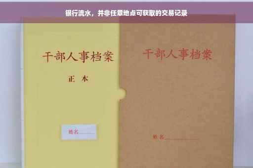 银行流水，并非任意地点可获取的交易记录