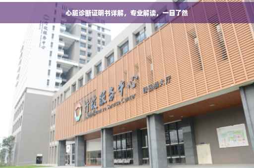 心脏诊断证明书详解，专业解读，一目了然