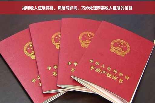 揭秘收入证明真相，风险与影响，巧妙处理购买收入证明的策略