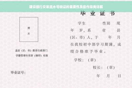 建设银行交易流水号验证的重要性及操作指南详解