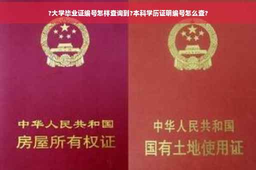 ?大学毕业证编号怎样查询到?本科学历证明编号怎么查?