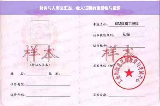 财务与人事交汇点，收入证明的重要性与运用