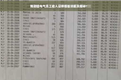 施耐德电气员工收入证明模板详解及揭秘?⚡️