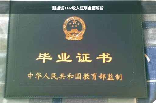 新加坡TEP收入证明全面解析