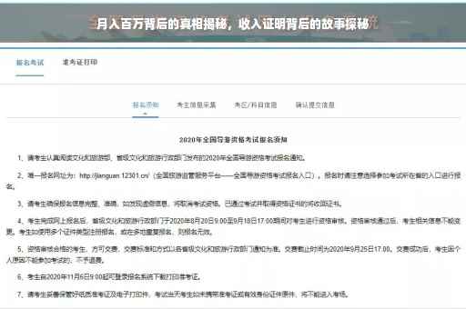 月入百万背后的真相揭秘，收入证明背后的故事探秘