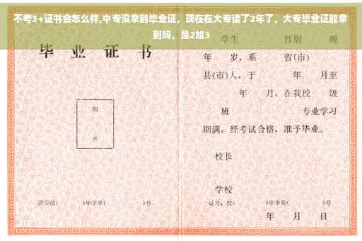 不考3+证书会怎么样,中专没拿到毕业证，现在在大专读了2年了，大专毕业证能拿到吗，是2加3