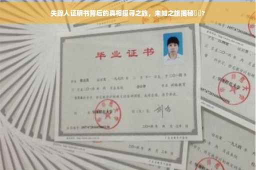 失踪人证明书背后的真相探寻之旅，未知之旅揭秘⚡️?