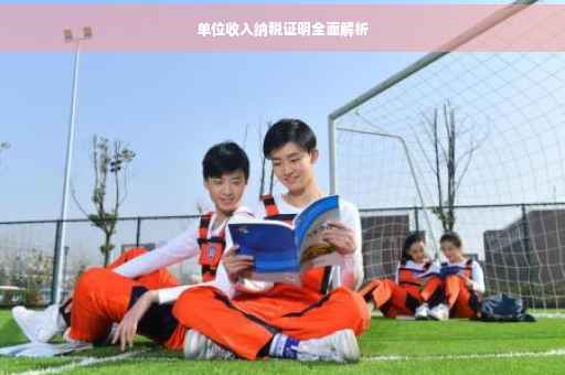 单位收入纳税证明全面解析