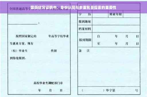 国籍状况证明书，身份认同与多重背景探索的重要性