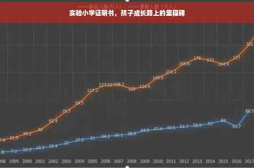 实验小学证明书，孩子成长路上的里程碑