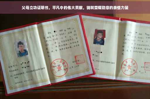 父母立功证明书，平凡中的伟大贡献，铸就荣耀勋章的亲情力量