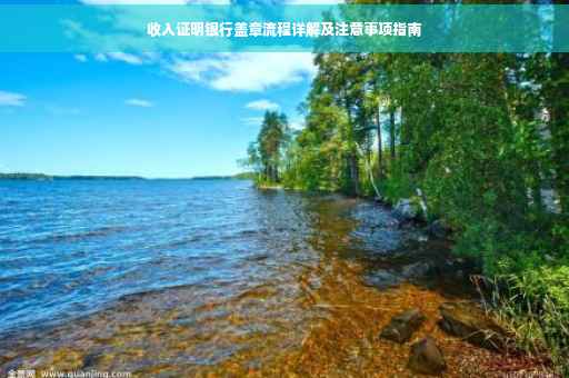 收入证明银行盖章流程详解及注意事项指南
