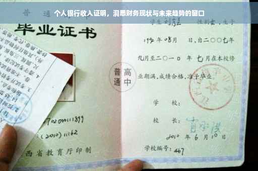 个人银行收入证明，洞悉财务现状与未来趋势的窗口