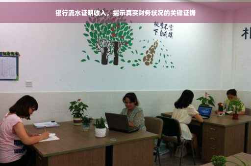 银行流水证明收入，揭示真实财务状况的关键证据