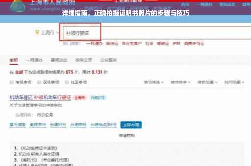 详细指南，正确拍摄证明书照片的步骤与技巧