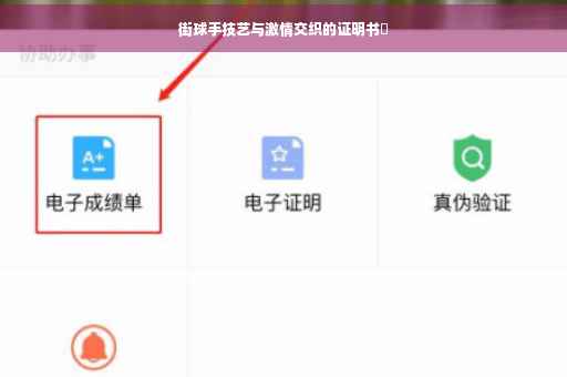 街球手技艺与激情交织的证明书✨