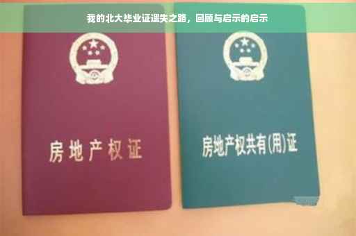 我的北大毕业证遗失之路，回顾与启示的启示