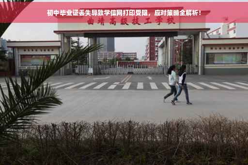 初中毕业证丢失导致学信网打印受阻，应对策略全解析！