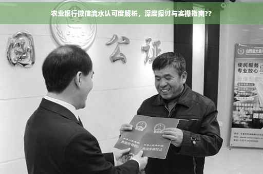农业银行微信流水认可度解析，深度探讨与实操指南??