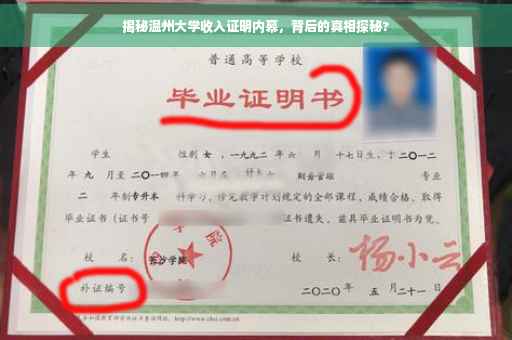 揭秘温州大学收入证明内幕，背后的真相探秘?