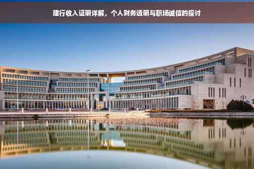 建行收入证明详解，个人财务透明与职场诚信的探讨