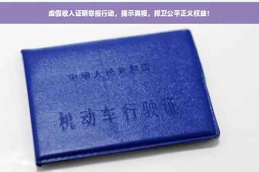 虚假收入证明举报行动，揭示真相，捍卫公平正义权益！