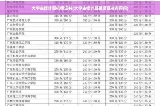 大学主修计算机师证书(大学主修计算机师证书有用吗)