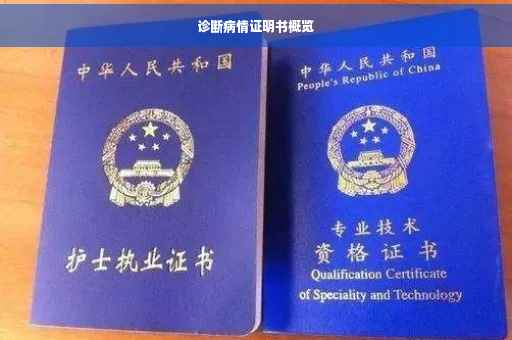 诊断病情证明书概览