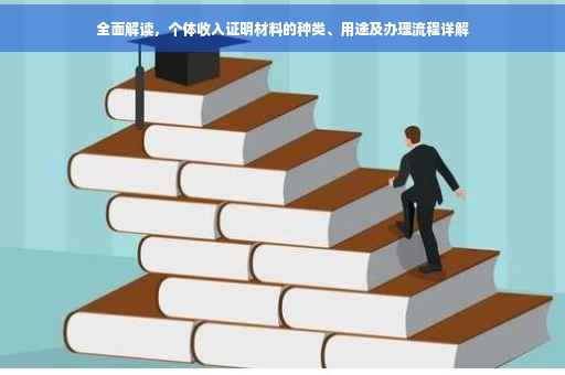全面解读，个体收入证明材料的种类、用途及办理流程详解